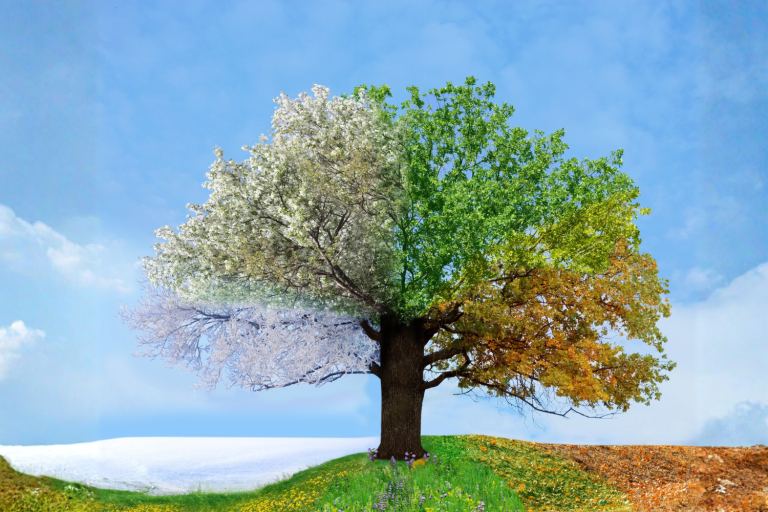 Why UK Organisations Are Not Ready for the Scale of Change Ahead